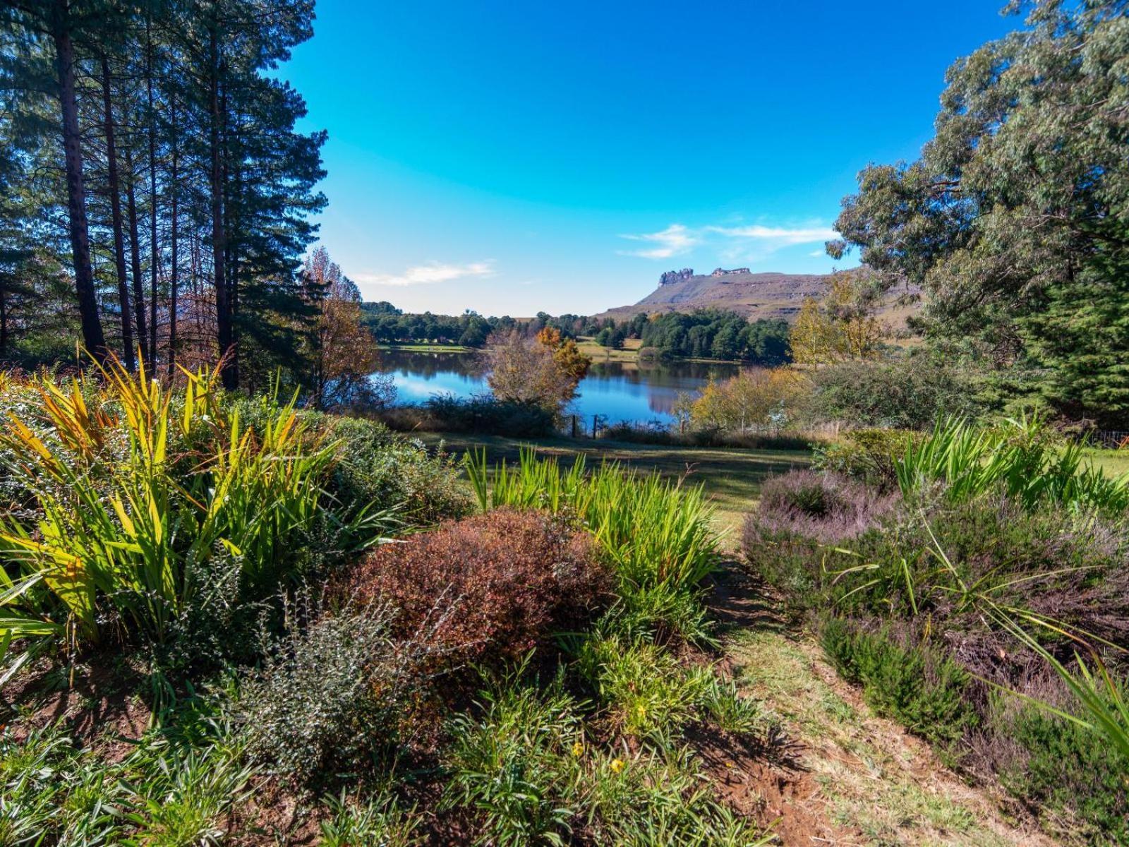 Lake Naverone Holiday Cottages Drakensberg Gardens Exterior foto