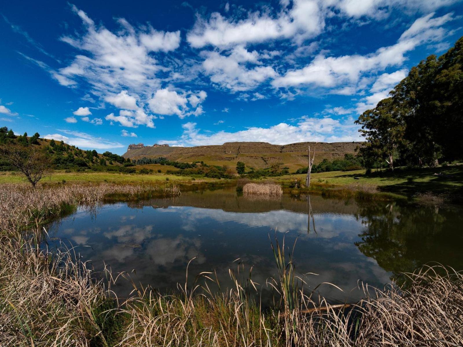 Lake Naverone Holiday Cottages Drakensberg Gardens Exterior foto